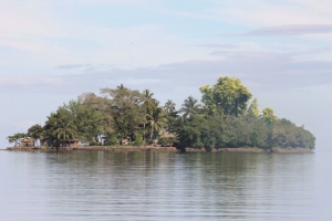 Call for input on the Global Action Programme on Food Security and Nutrition in Small Island Developing States